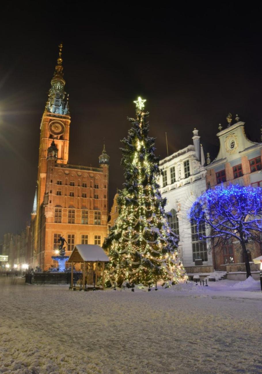 Old Town Apartment Angielska Grobla Gdańsk Exteriör bild
